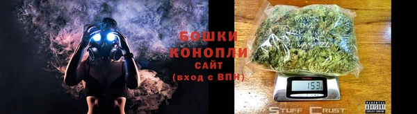 кокс Белокуриха