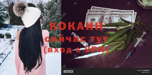 молекула духа Белоозёрский