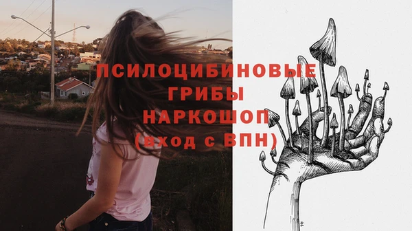 молекула духа Белоозёрский