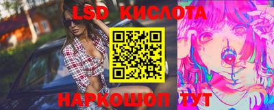 сатива Будённовск