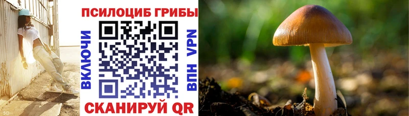 хочу   Вязники  Псилоцибиновые грибы GOLDEN TEACHER 